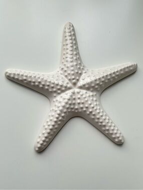 The Spring Shop White Ceramic Starfish Accent